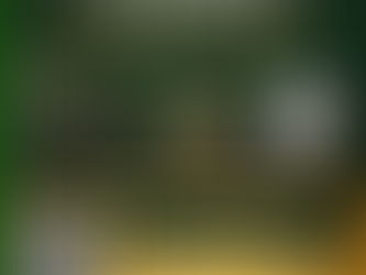 Emergency Preparedness Training