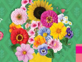 Flower City Days at the Market Continues this Sunday, May 17