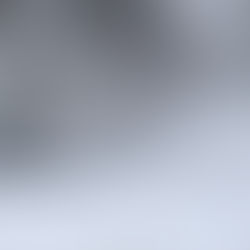 Mayor Evans Reminds Rochesterians Of Winter Snow Responsibilities