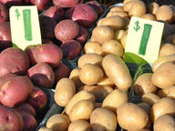 City of Rochester Public Market Offers Thanksgiving Week Shopping Opportunities