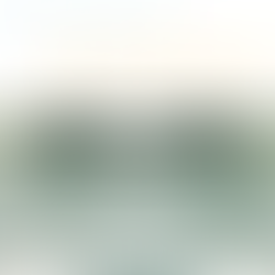  Moonlight Market Returns to The Grove