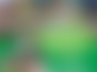 City of Rochester's Spring Recreation Season Begins