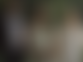 La empresa High End New York Earth afirma que se realizaran labores de limpieza en South Wedge