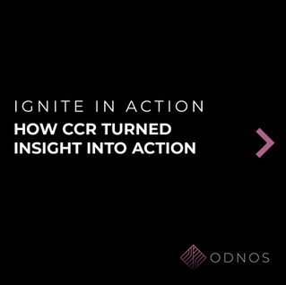 How CCR Turned Insight Into Action