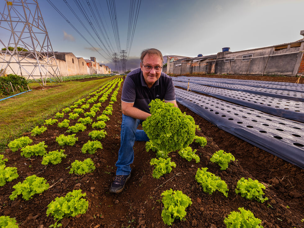 cidadesemfome-6 baixa