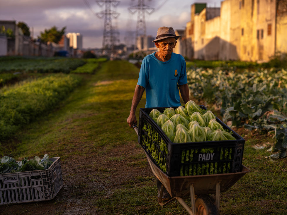 cidadesemfome-13 baixa