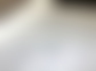 Mackay Park in Focus -a PrefEx perspective