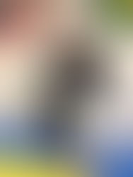 Chad Pomeroy receives his second stripe on his brown belt along with certificates from Kroyler for m