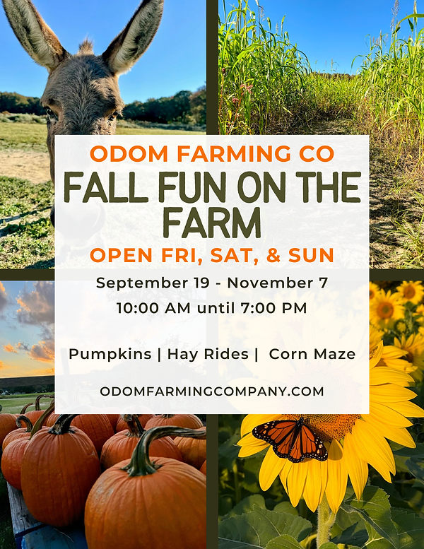 Orange Green Simple Photo Grid Pumpkin Patch Farm Event Flyer.png