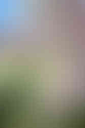 vienna garden photoshoot hirschstetten