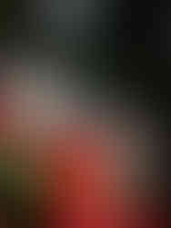 couple photos palmenhaus schönbrunn