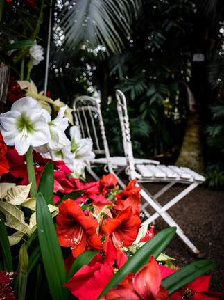 couple photos palmenhaus schönbrunn