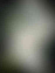 couple photos palmenhaus schönbrunn