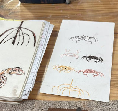 Rascunho com desenhos de caranguejos e raízes.