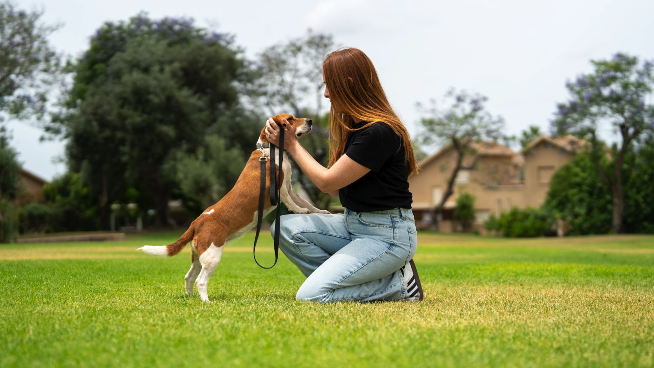 SpotitEarly detection dogs are trained to identify cancer-associated volatile organic compounds in exhaled breath samples.