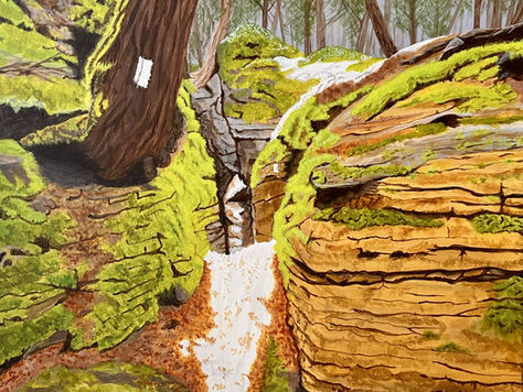 Bruce Trail Woodford Escarpment Into the Crevice