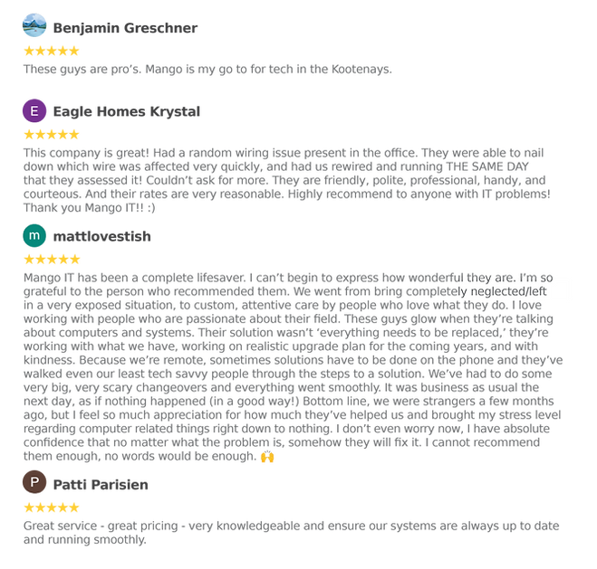 5 star reviews for Mango IT