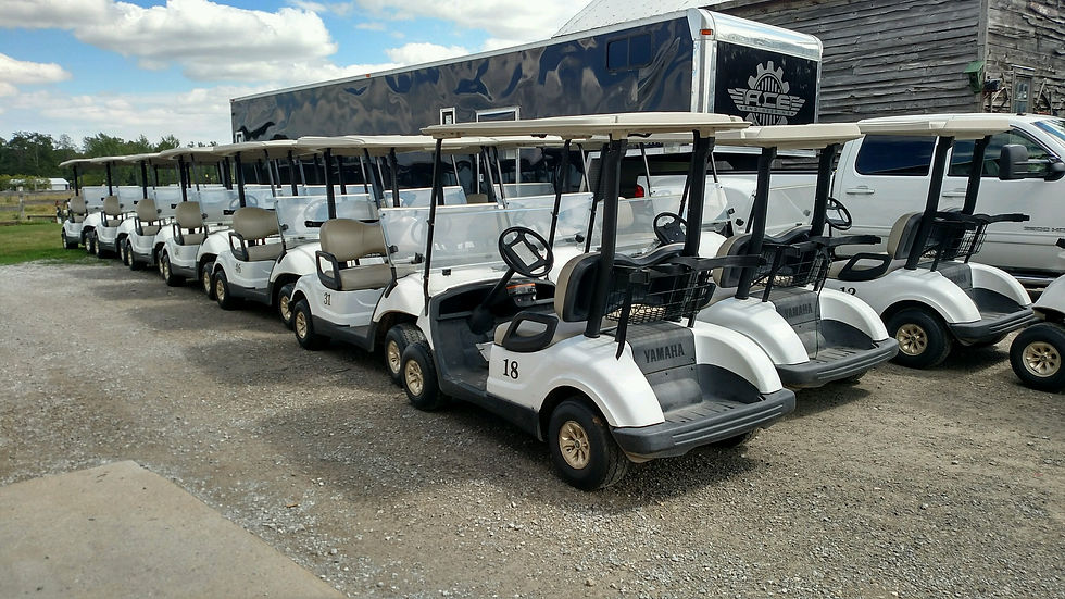 2014 Yamaha Drive Gas