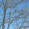 IMG_3713_edited.jpg