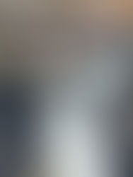 El pingüino de Humboldt no desaparecerá solo