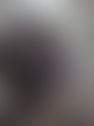 La segunda oportunidad de los monos: la vida en el santuario de los primates