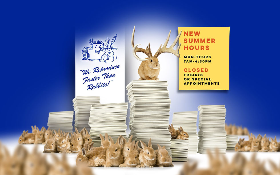 HPUBCO-Antler-WIX bnnr4.jpg