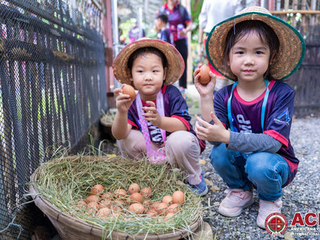 Learning from the Land: Field Trip To Khok Nong Na
