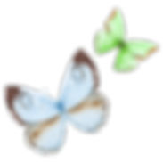 Watercolor Butterfly 16