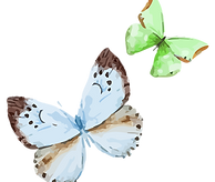 Watercolor Butterfly 16