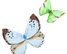Stunning Glitter Butterfly