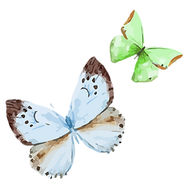 Watercolor Butterfly 16