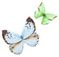 Watercolor Butterfly 16