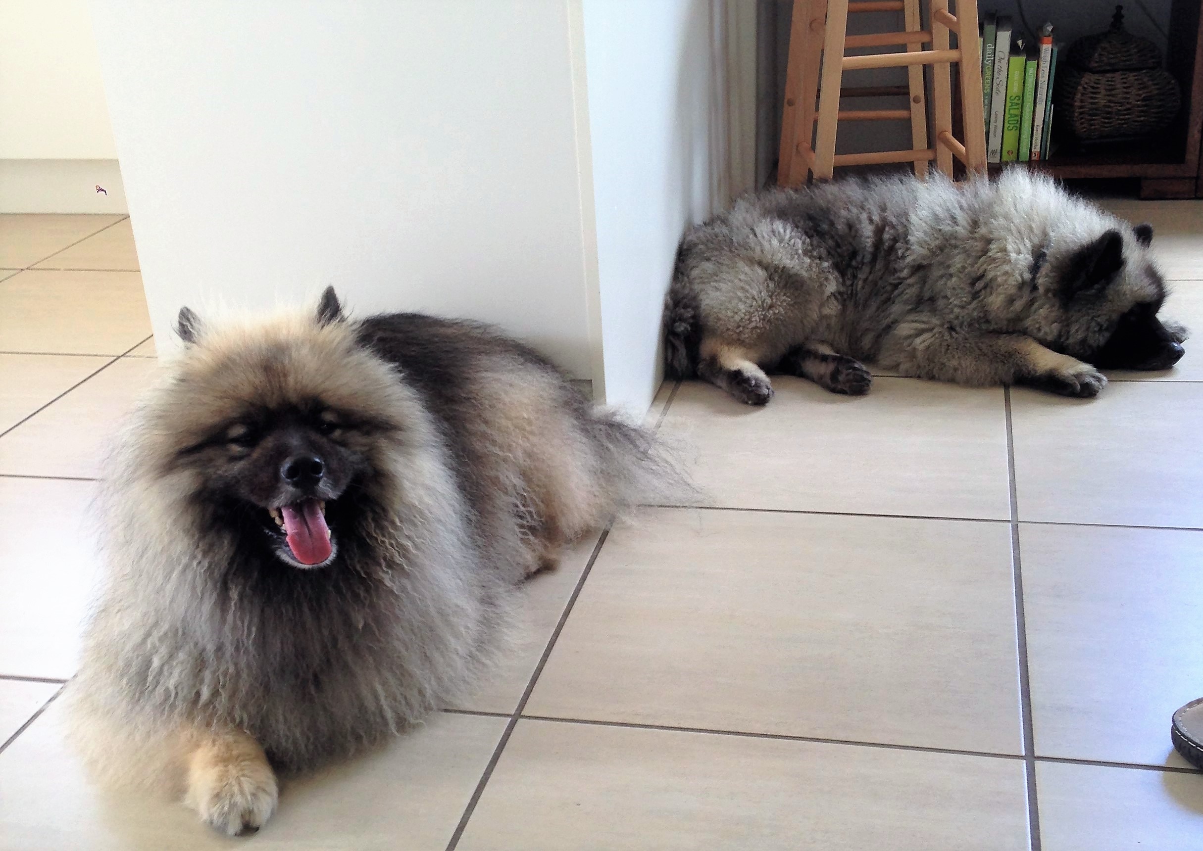Wilson and Wilby