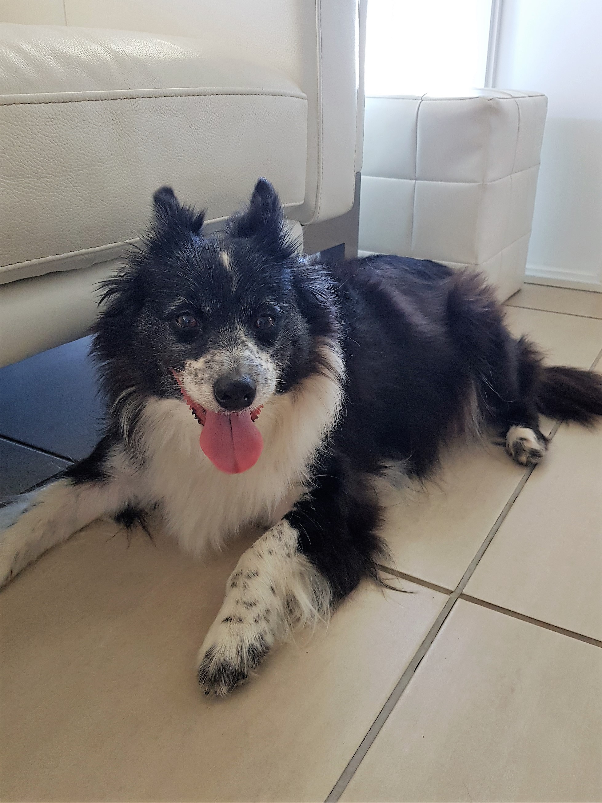 Jazzie