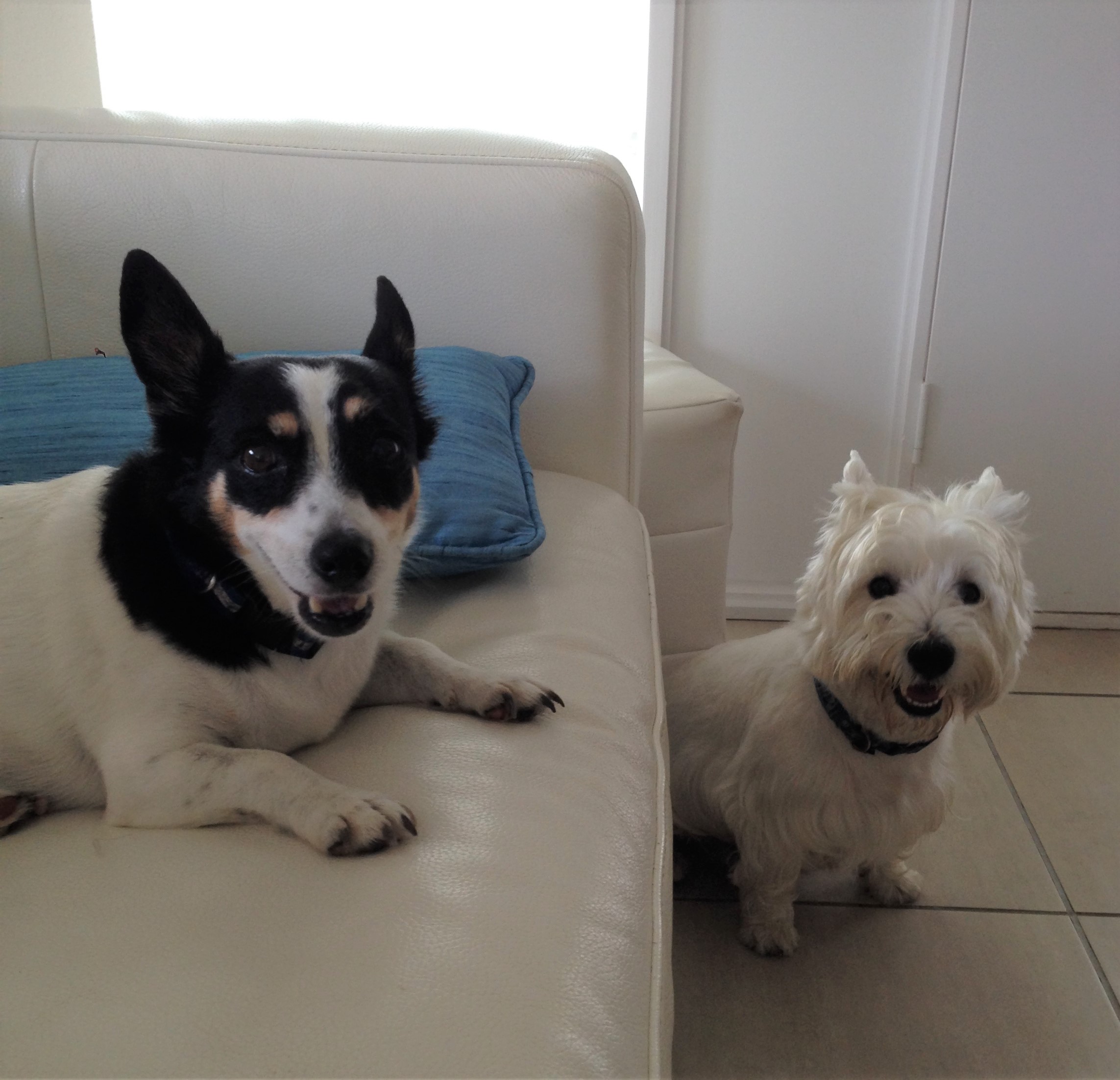 Geordie and Ruby
