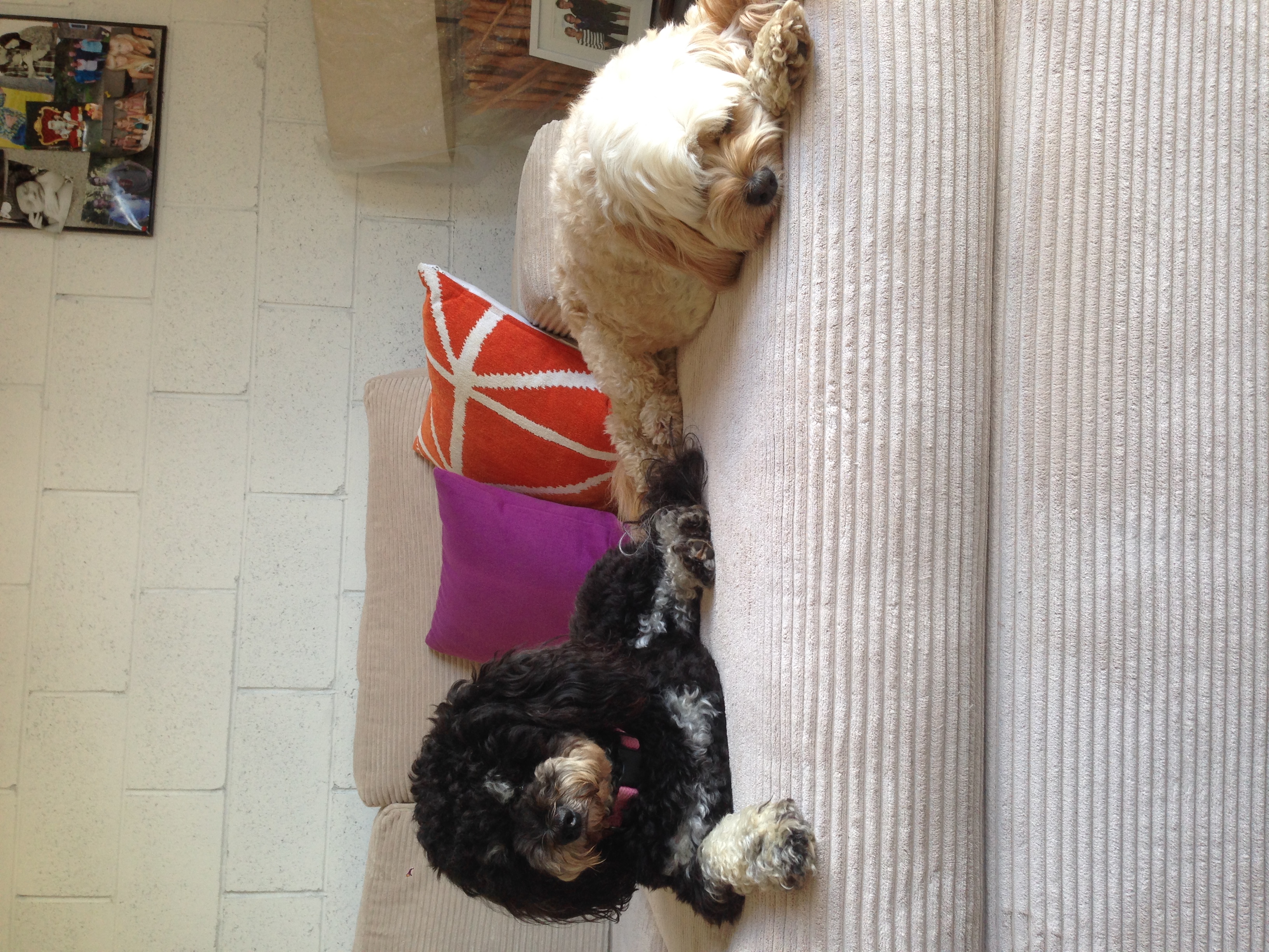 Maggie and Molly