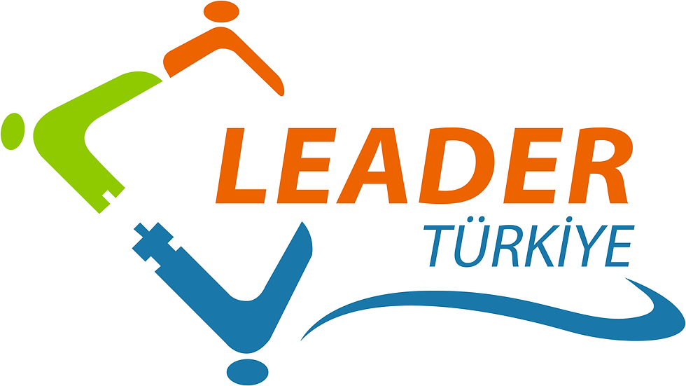 3-LEADER.png