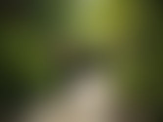 The benefits of an active life without a sedentary lifestyle