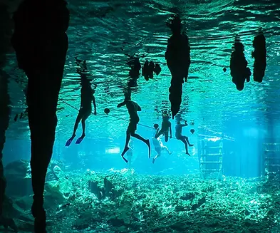 Alquileres vacacionales en Gran Cenote, dirección feliz.webp