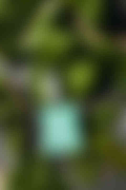 forage+greenroom_pc-86.jpg