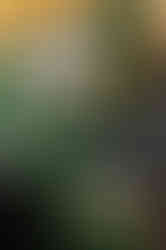 pc_12southwalk-84.jpg