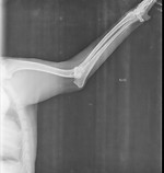 WhatsApp Image 2024-03-15 at 12.05.56 (4).jpeg