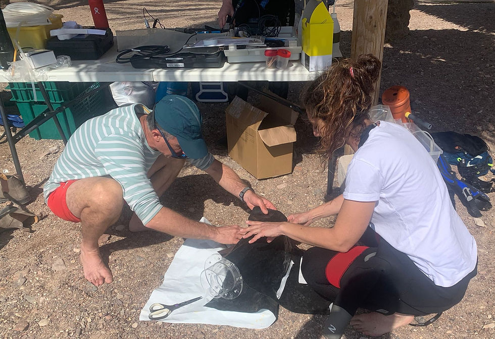 גדעון ומורן_edited