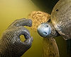 IMG_8669.jpeg