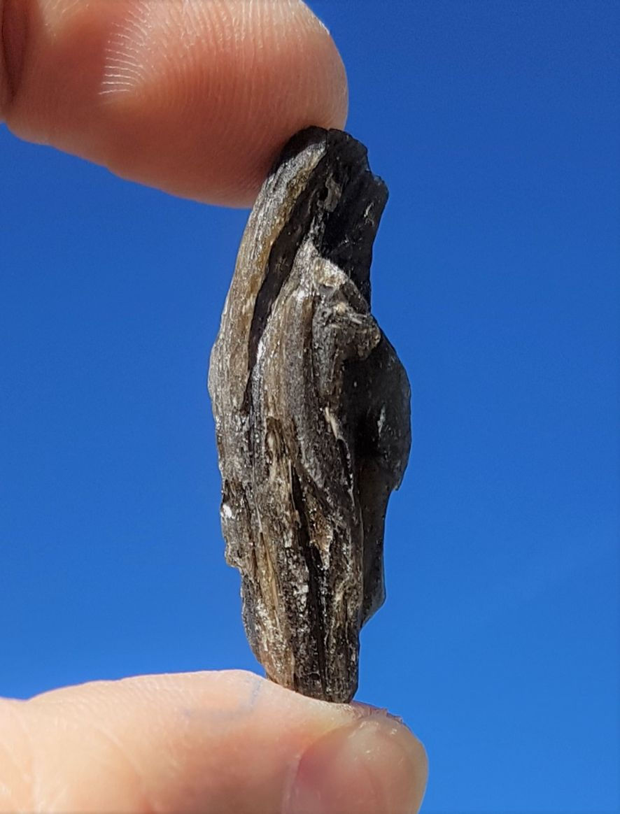 Thumbnail: Darwin Tektite A 4,5g
