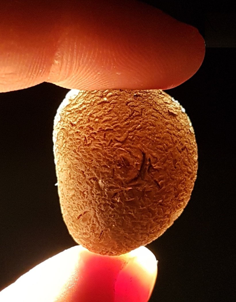 Thumbnail: Saffordite A++ 15,4g