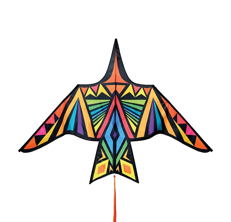 Profesionalni Zmaj Thunderbird Rainbow Geometric - enolinijski