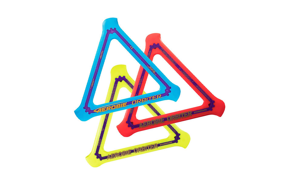 Thumbnail: Aerobie Orbiter