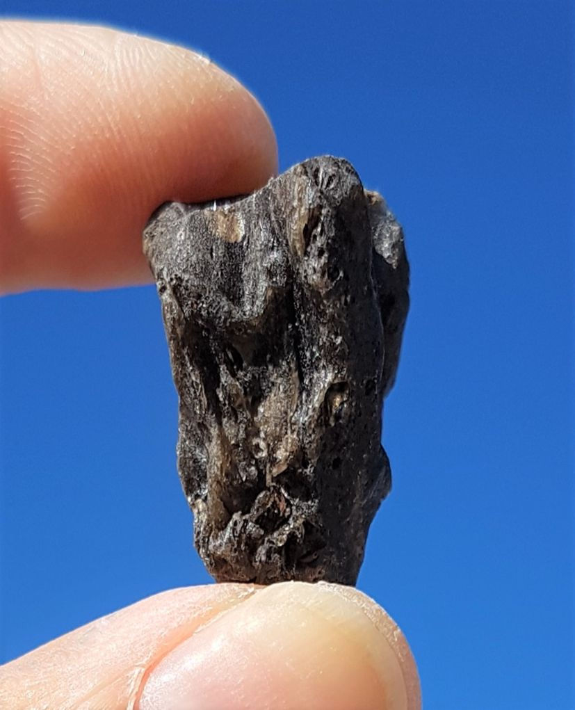 Thumbnail: Darwin Tektite B+++ 6g