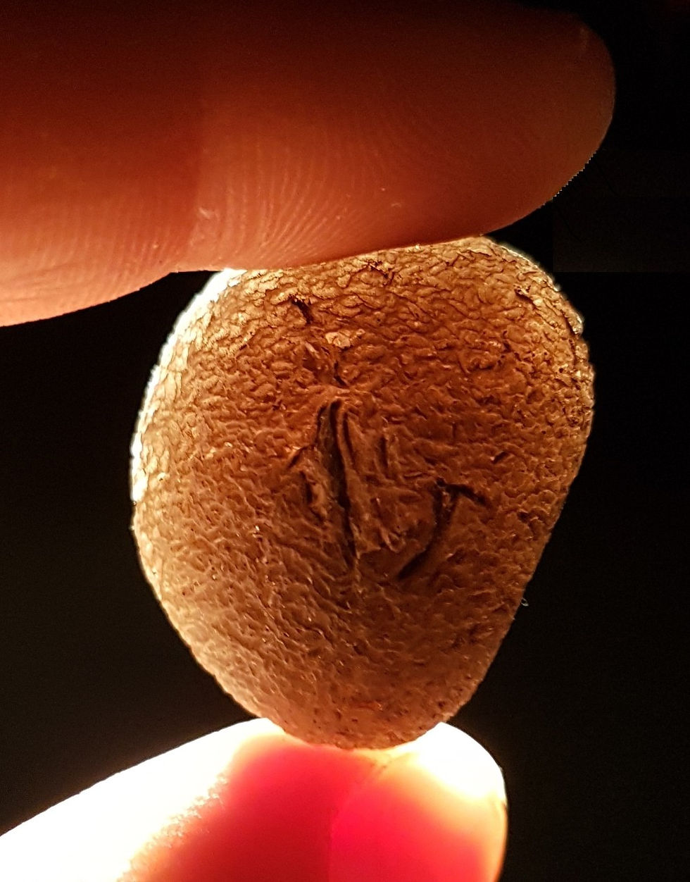Thumbnail: Saffordite A++ 15,4g